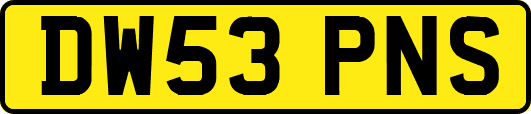 DW53PNS