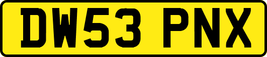 DW53PNX