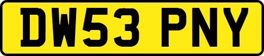 DW53PNY