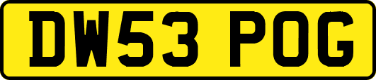 DW53POG