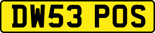 DW53POS