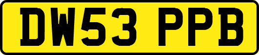 DW53PPB