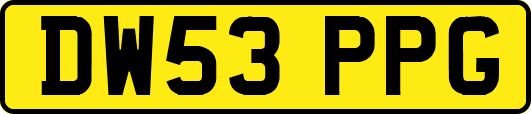 DW53PPG