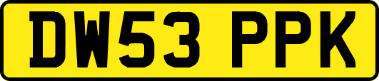 DW53PPK