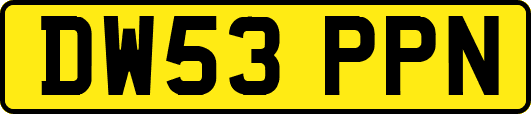 DW53PPN