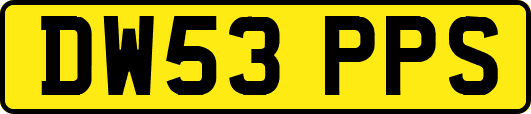 DW53PPS