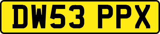 DW53PPX