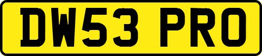 DW53PRO