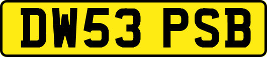 DW53PSB