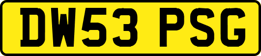 DW53PSG