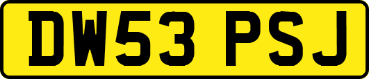 DW53PSJ