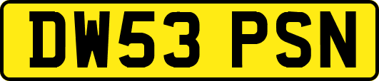 DW53PSN