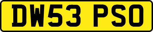 DW53PSO