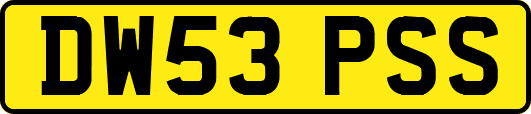DW53PSS