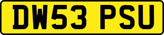 DW53PSU