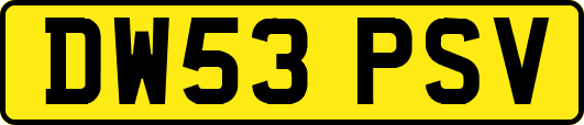 DW53PSV