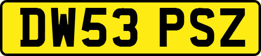 DW53PSZ