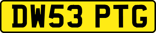 DW53PTG
