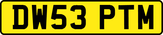 DW53PTM