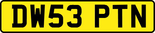 DW53PTN