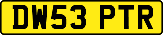 DW53PTR