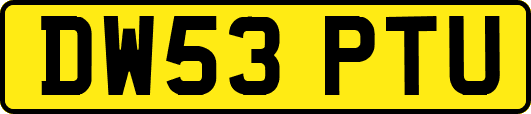 DW53PTU