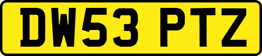 DW53PTZ