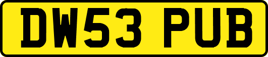 DW53PUB