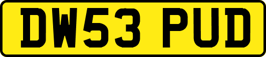 DW53PUD