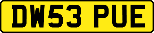 DW53PUE