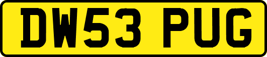 DW53PUG