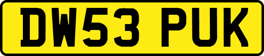 DW53PUK