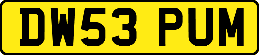 DW53PUM