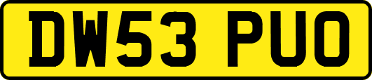 DW53PUO