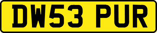 DW53PUR