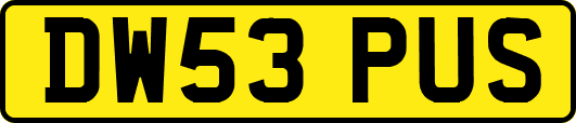 DW53PUS