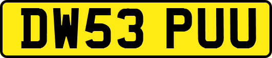 DW53PUU