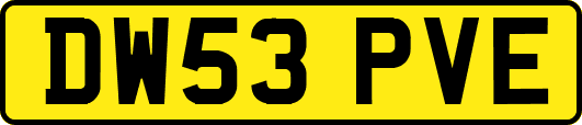 DW53PVE
