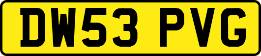 DW53PVG