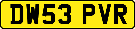 DW53PVR