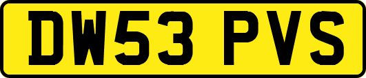 DW53PVS