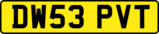 DW53PVT