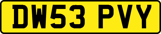 DW53PVY