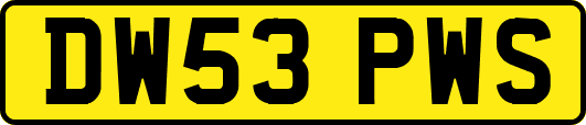 DW53PWS