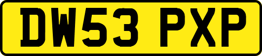 DW53PXP