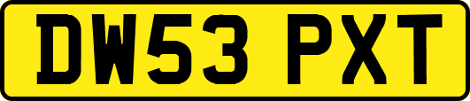 DW53PXT