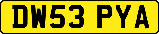 DW53PYA