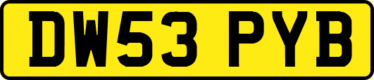 DW53PYB