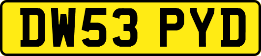 DW53PYD