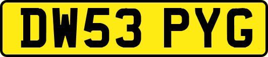 DW53PYG